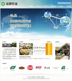 郑州浩方网络 专业赋能郑州远航农业科技，打造一体化数字平台