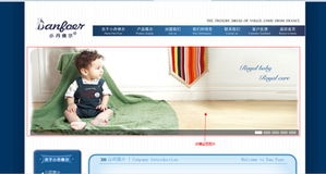 关于市场出现仿冒小丹佛尔产品及网站制作的严正声明